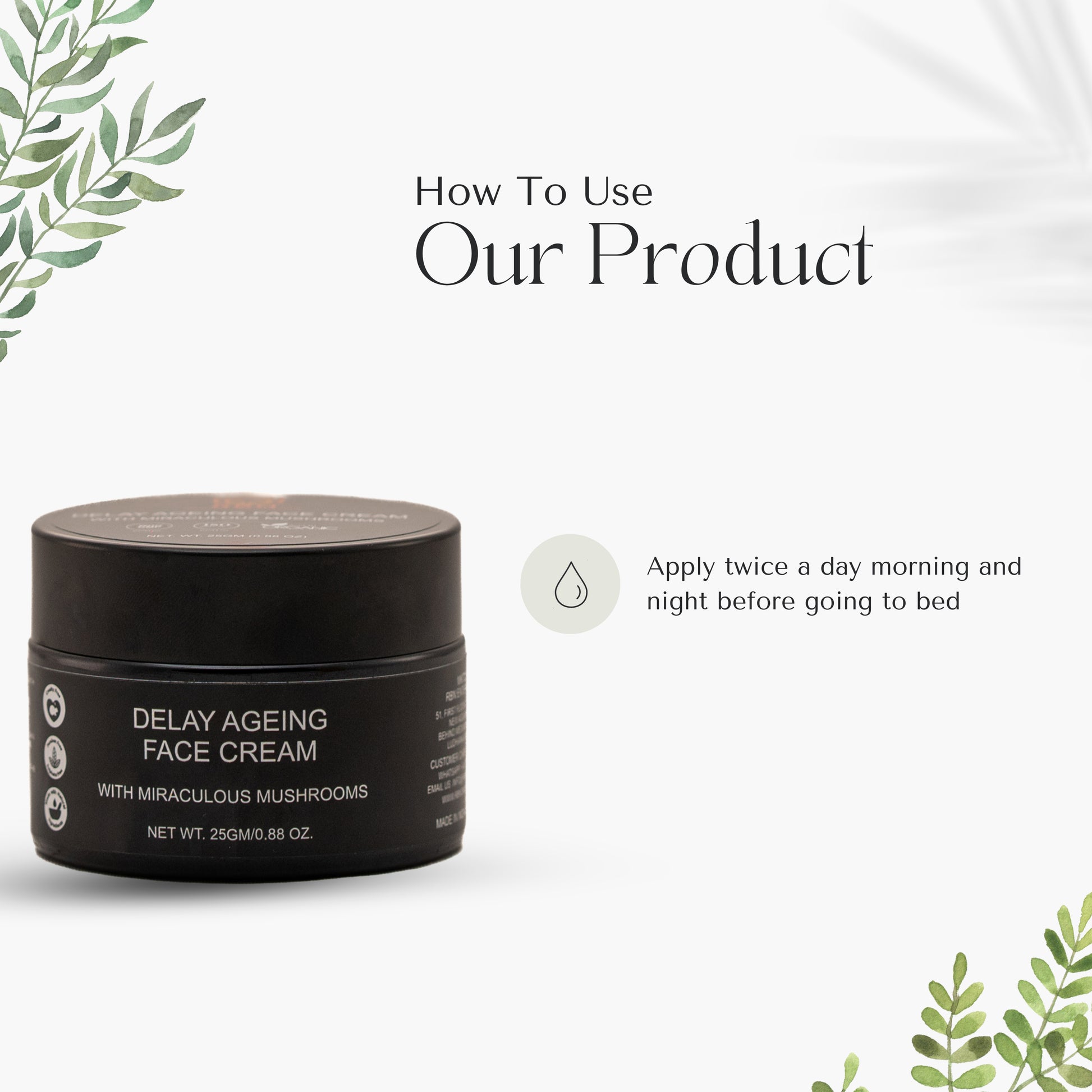 Best Moisturizer Face Cream For Aging Skin