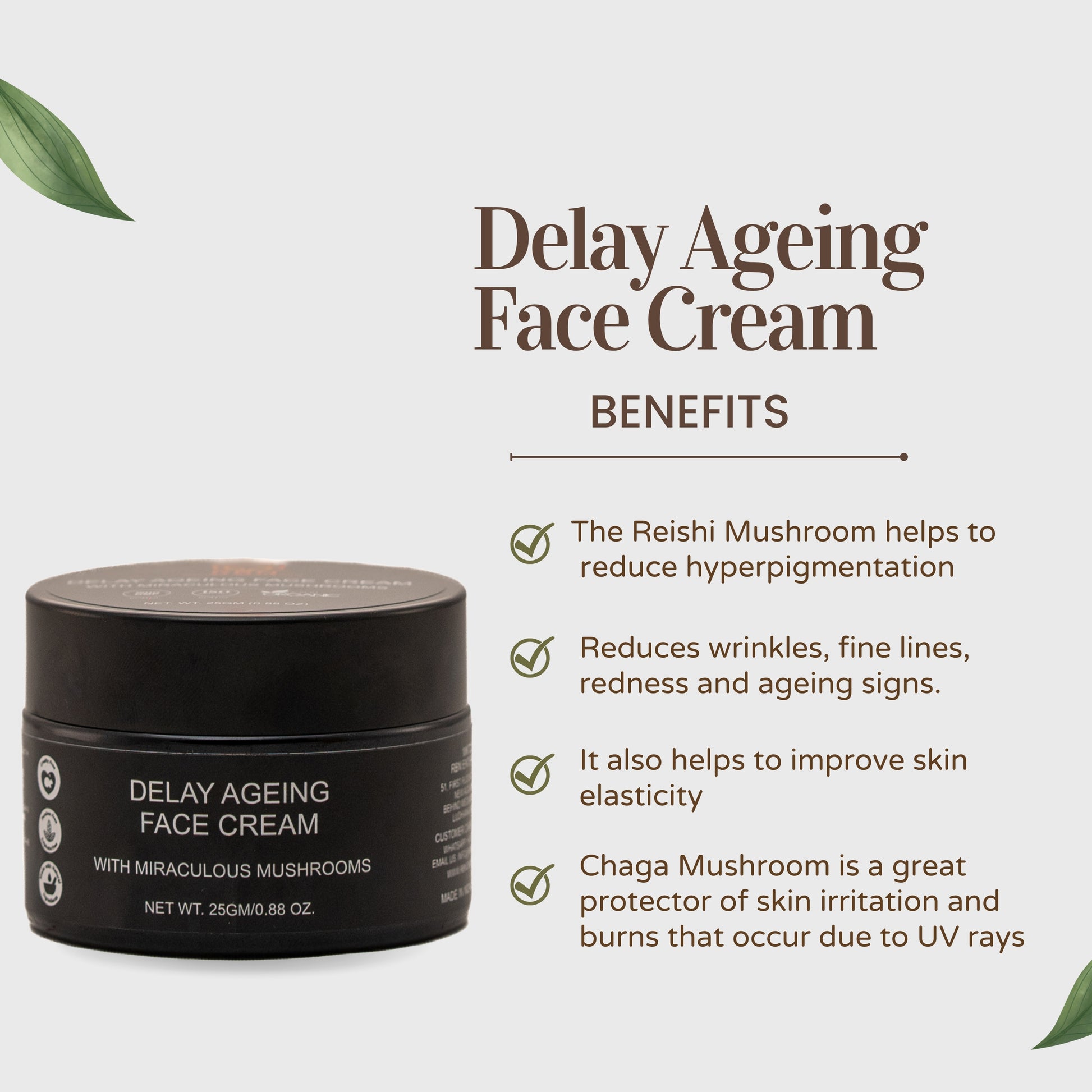 Best Wrinkle Cream for Women