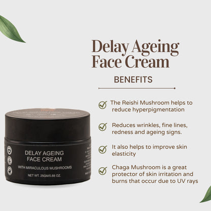 Best Wrinkle Cream for Women