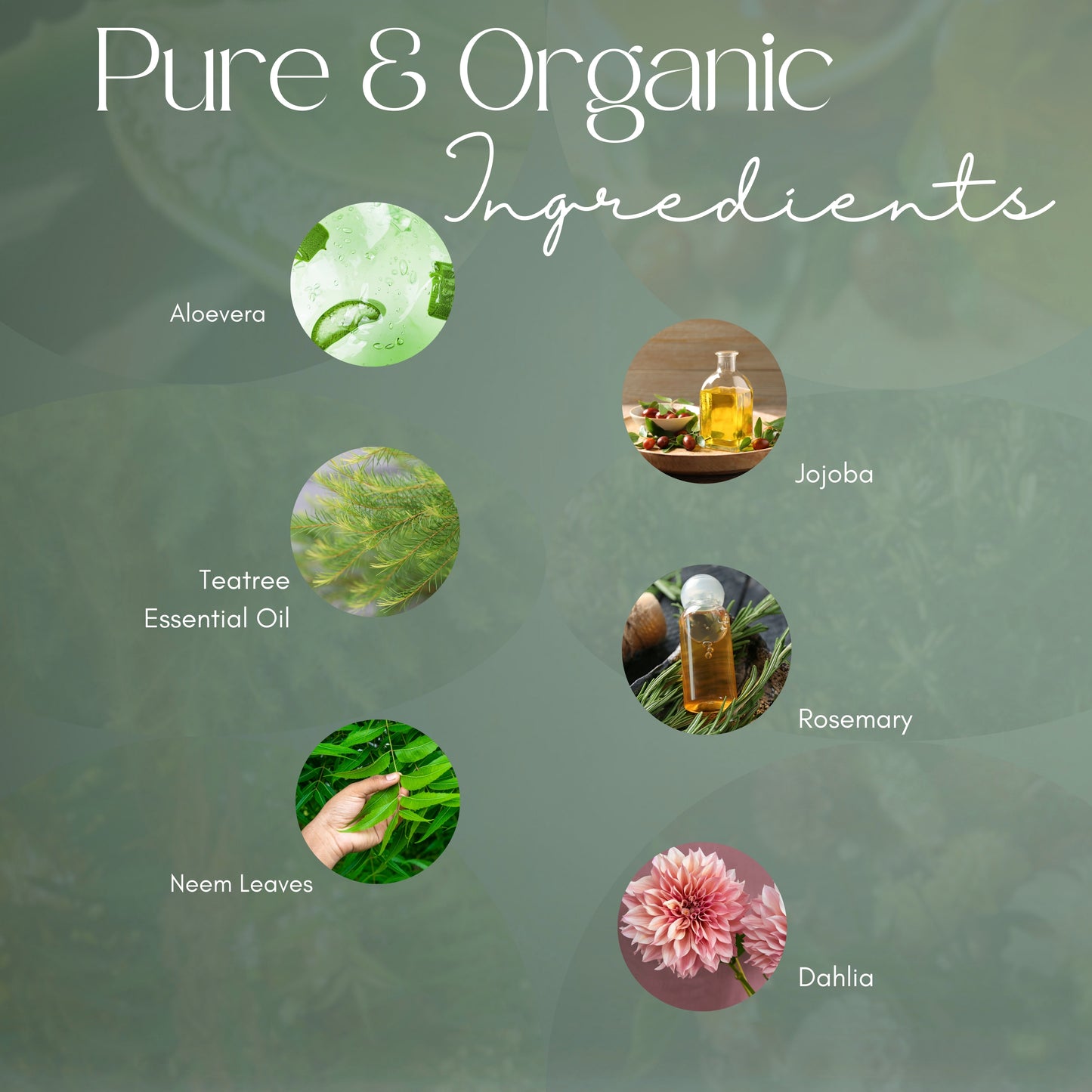 3 in 1 Shampoo Cum Conditioner