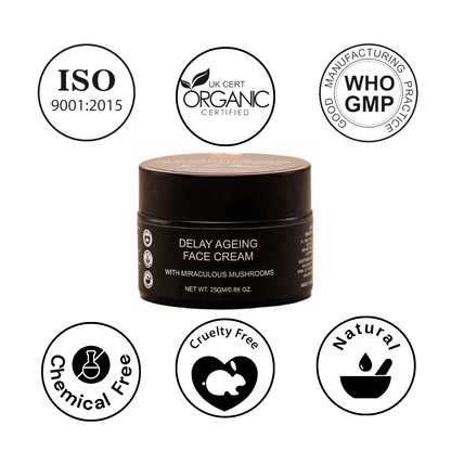 Best Anti Aging Cream and Wrinkle Cream 